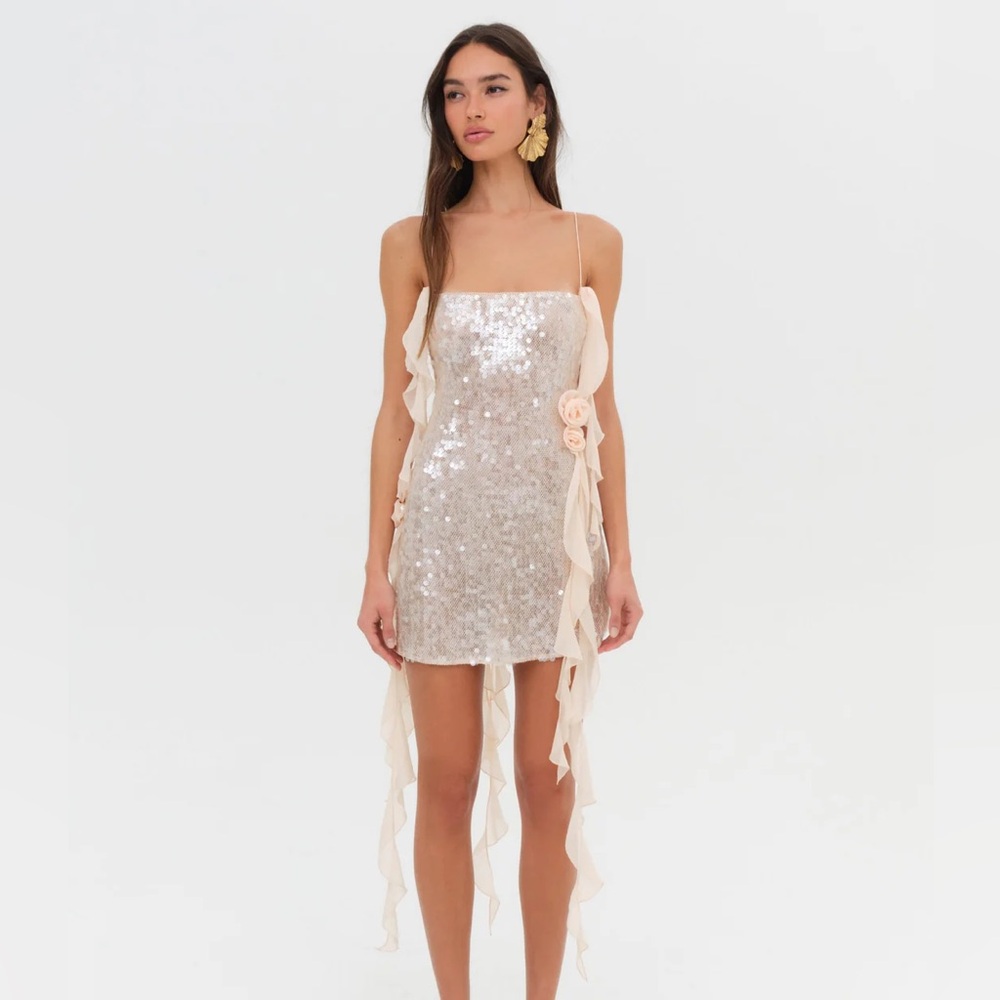 Sydney Sequin Mini Dress ~ For Love & Lemons